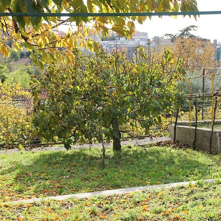 Il Gelsomino Villa Trieste Eksteriør billede