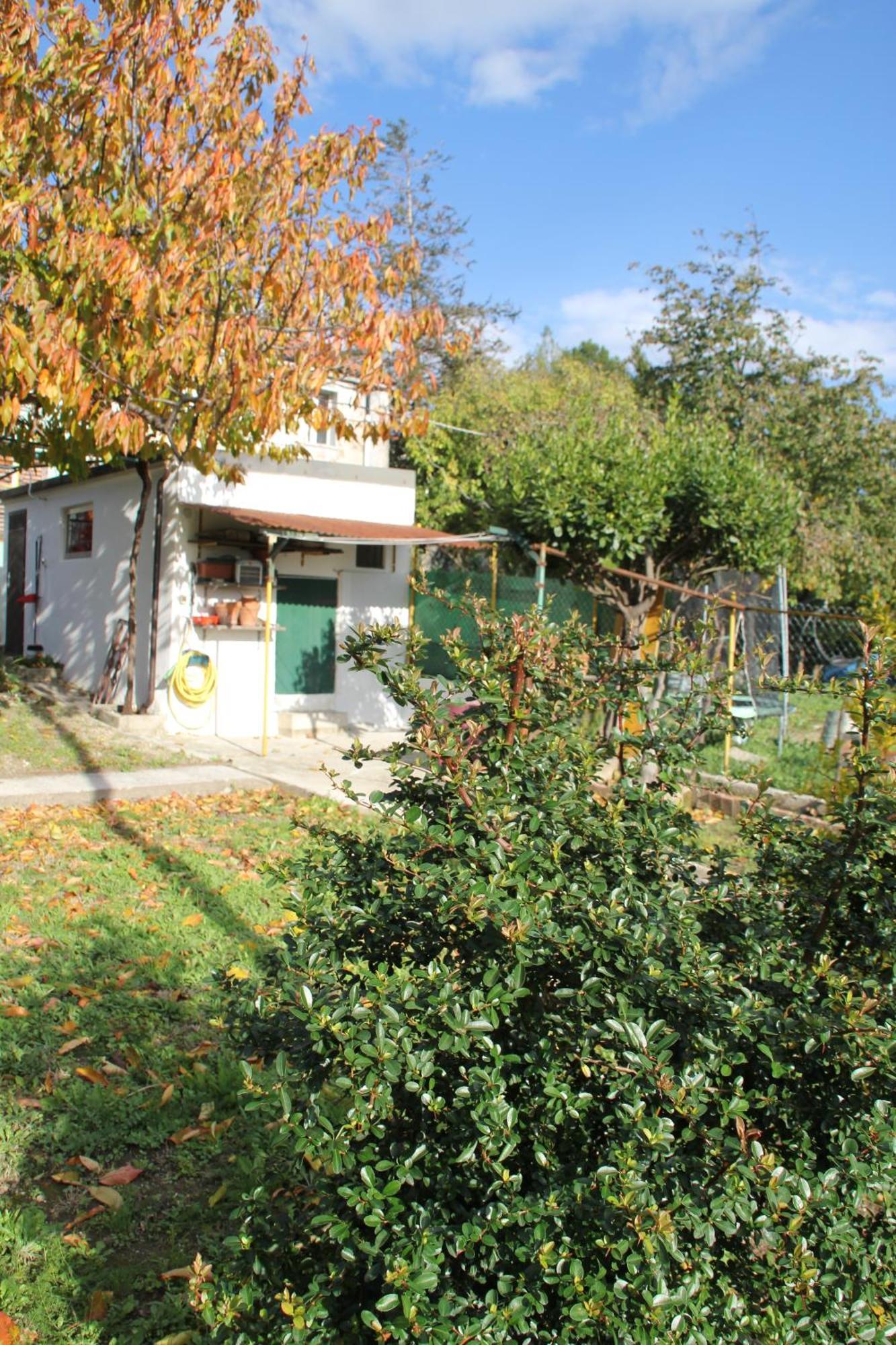 Il Gelsomino Villa Trieste Eksteriør billede